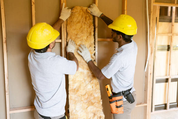 Best Insulation for New Construction  in Miles City, MT